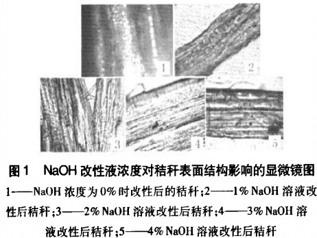 生物质成型燃料NaOH浓度对秸秆表面结构影响 生物质成型燃料NaOH浓度对秸秆表面结构影响