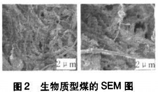 生物质成型煤sem图 生物质成型煤sem图