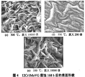 生物质锅炉 生物质锅炉