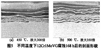 生物质锅炉 生物质锅炉
