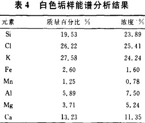 生物质锅炉 生物质锅炉