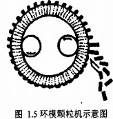 颗粒机制粒机 颗粒机制粒机