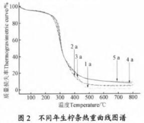 颗粒机 颗粒机
