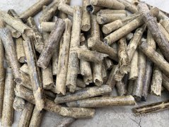 新奥彩今天晚上开奖结果查询表