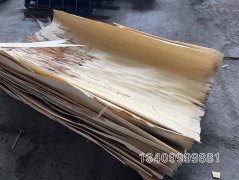 新奥彩今天晚上开奖结果查询表