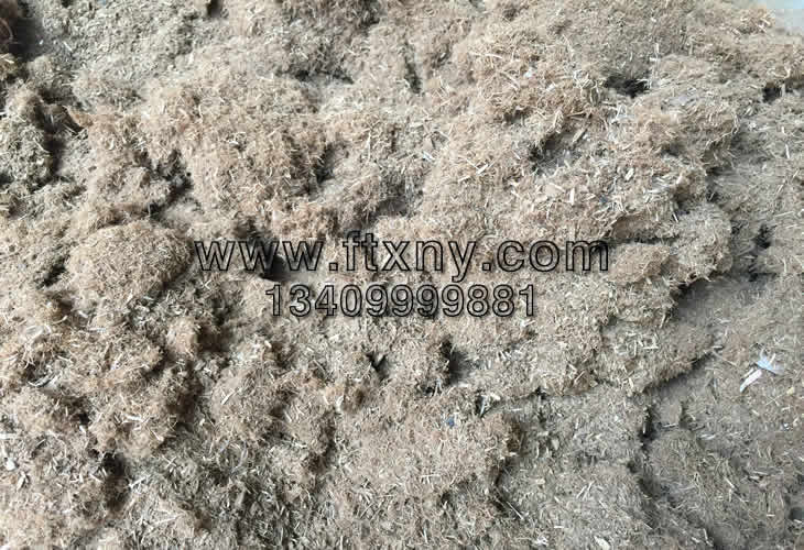 粉碎机粉碎后的桉树皮原料